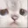 onelove_sad_cat2