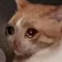 Cry