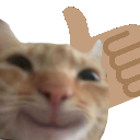 happycat Discord emoji