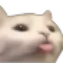 Catblep catblep Discord Emoji