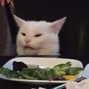 cateww