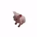 Bingus Bingus