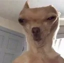 869956487030665226