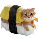 Th Sushi Cat Discord Emoji