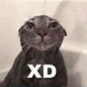 xD Discord emoji