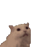 catscreamhearts Discord Emoji