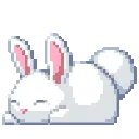 bunny
