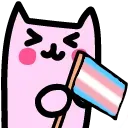 kittytransflag