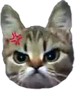 catangryasf Discord Emoji