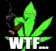 wtf_