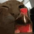 BUHShake