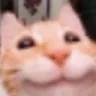 3_