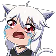CatCry