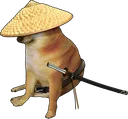 samuraidoge