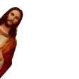 jesuschecking