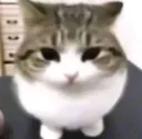 disappointedlook