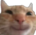 catsmile