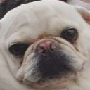 brian Discord emoji