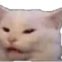 catwhat