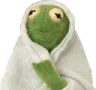 kermit_blanket_tbr