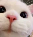 c_hello