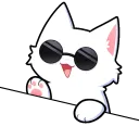 Bongo_2