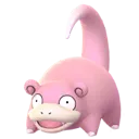 slowpoke
