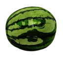 melonhusk