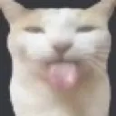 DCH_silly