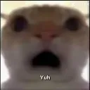 hf_stunned