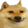 dog_smug_smile dog_smug_smile