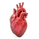 haveaheart
