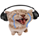 tearfulcat Discord emoji