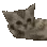 catchill1