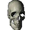 1SkullSpin