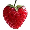 d1_d