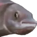 PauseChamp