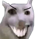 catmeup1
