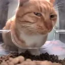 side_eye