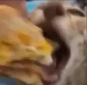 CHOMP