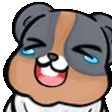 kllerHappy