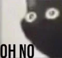 Cat_ohno