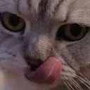 helper_mlem
