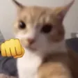 annuwuApoco