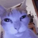 que