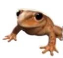 PeaceQuuet