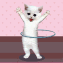 016Dance_Cat