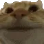 yes