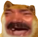 Doge_akek Discord Emoji