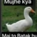 batak